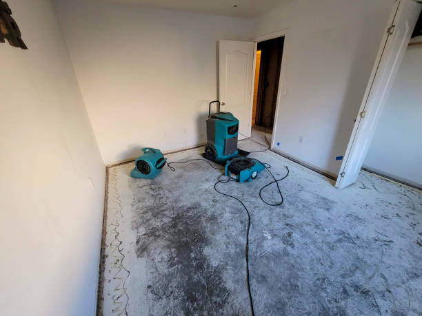 Best Flood restoration services  in Youngsville, LA