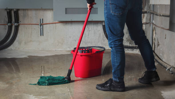 Best Basement water damage restoration  in Youngsville, LA
