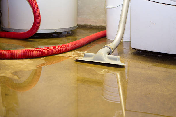 Best Water damage cleanup near me  in Youngsville, LA