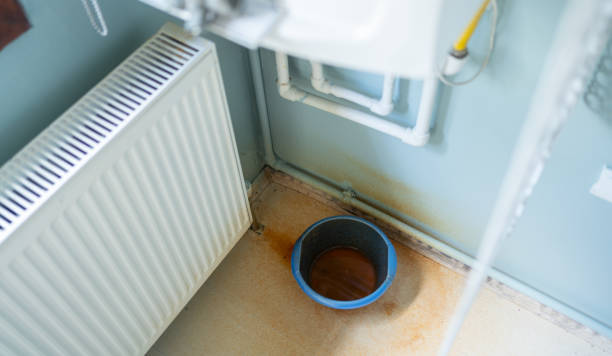 Best Water damage cleanup near me  in Youngsville, LA