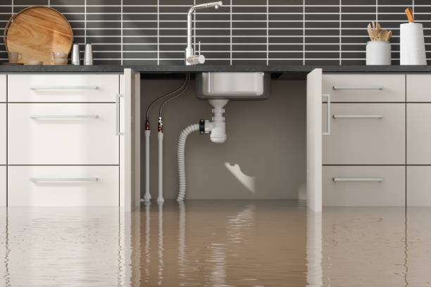 Best Professional water damage repair  in Youngsville, LA